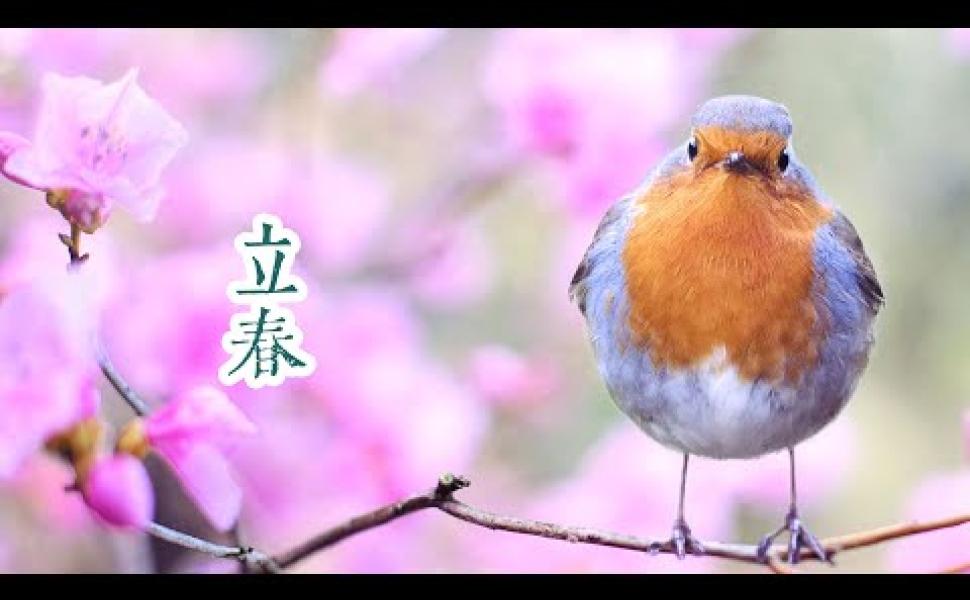 Embedded thumbnail for 立春究竟是不是一年的開始？